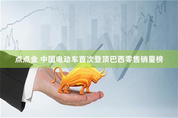 点点金 中国电动车首次登顶巴西零售销量榜