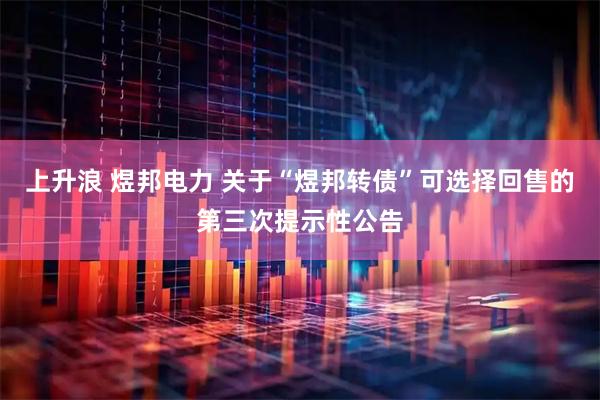 上升浪 煜邦电力 关于“煜邦转债”可选择回售的第三次提示性公告